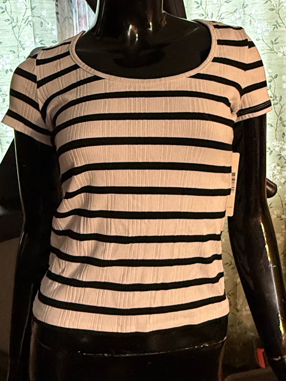 Cyrus Black and White Striped Short-Sleeve Scoop Neck Tee